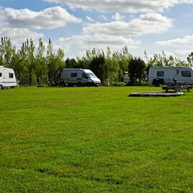 Wohnmobilstellplatz: Camping - Camping Noorderwaard Texel