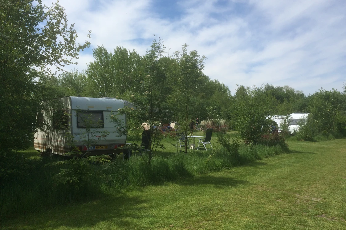 Wohnmobilstellplatz: Landschapscamping De Graspol