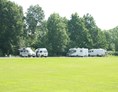 Wohnmobilstellplatz: Camping 't Plathuis