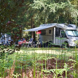 Wohnmobilstellplatz: Camping Landgoed Borkerheide