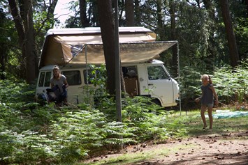 Wohnmobilstellplatz: Camping Landgoed Borkerheide