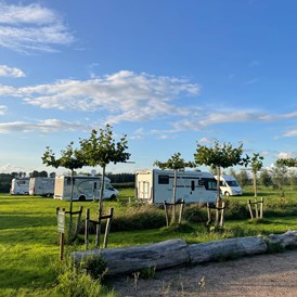 Wohnmobilstellplatz: Panoramablick von der Wiese - Camperplaats Buitenplaats Molenwei
