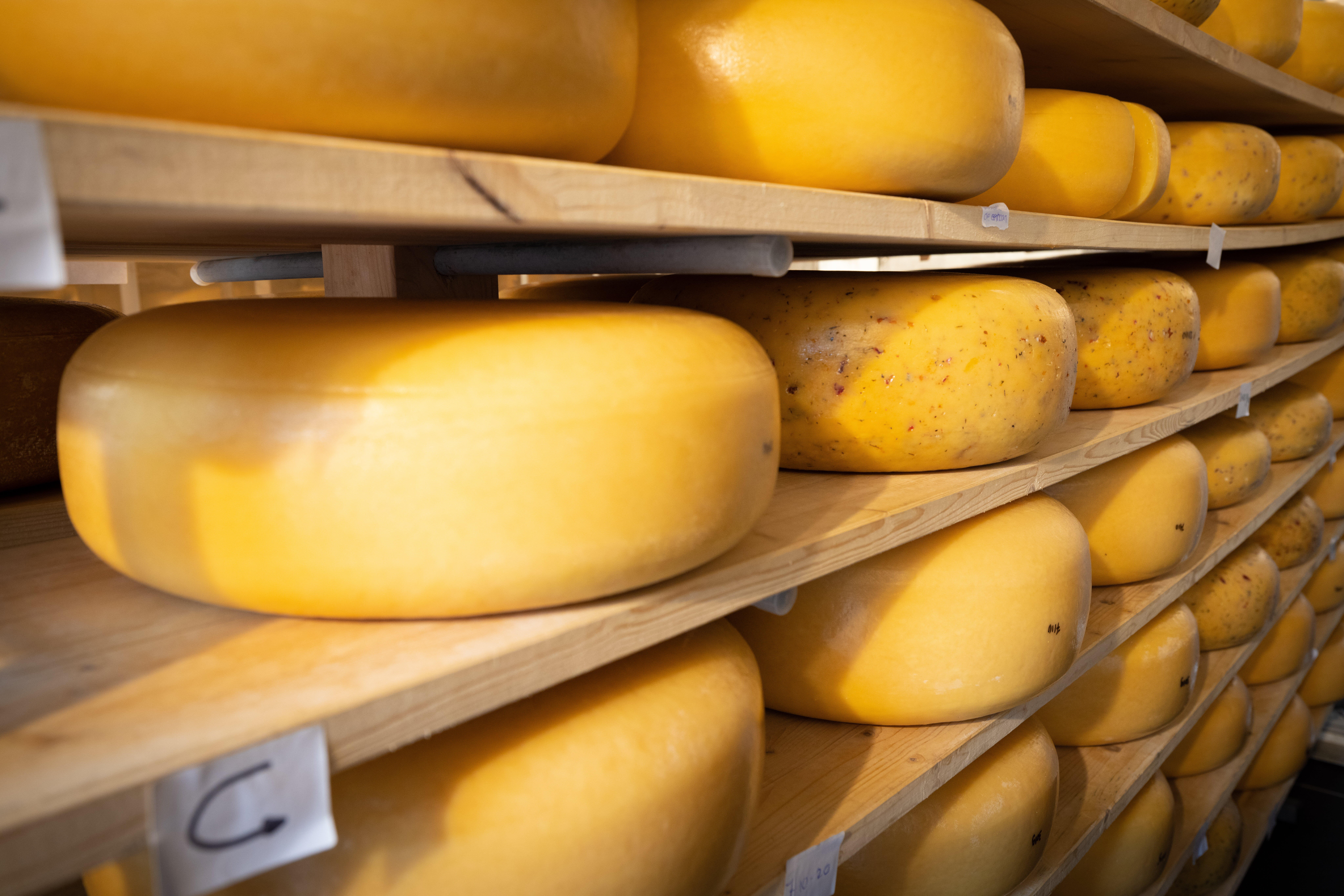 Wohnmobilstellplatz: Camper Island Farm