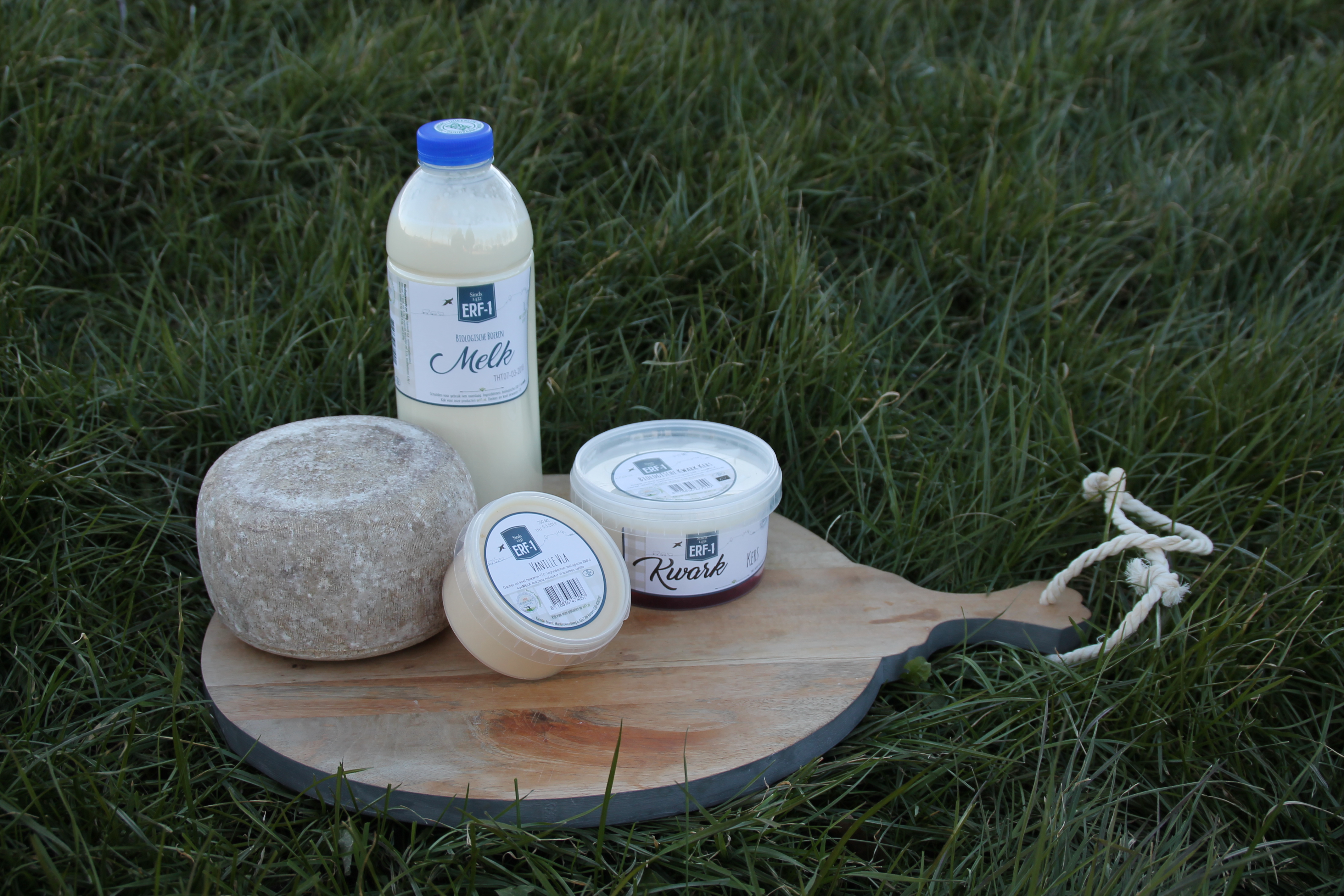 Wohnmobilstellplatz: Camper Island Farm