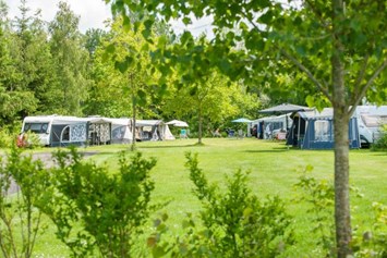 Wohnmobilstellplatz: Camping de Waterjuffer