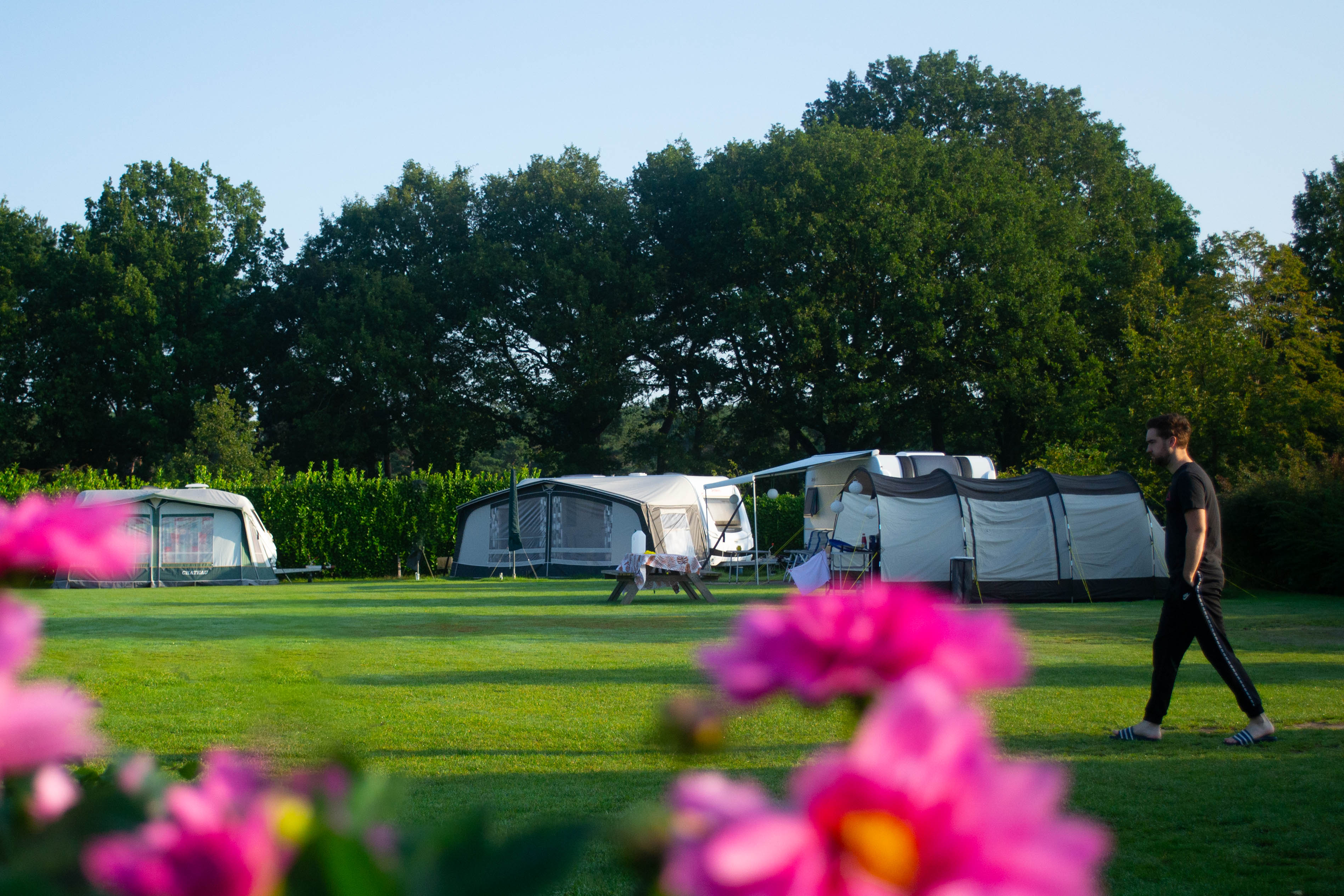 área camper - Vessem - Groot veld - Camping De Zandkant