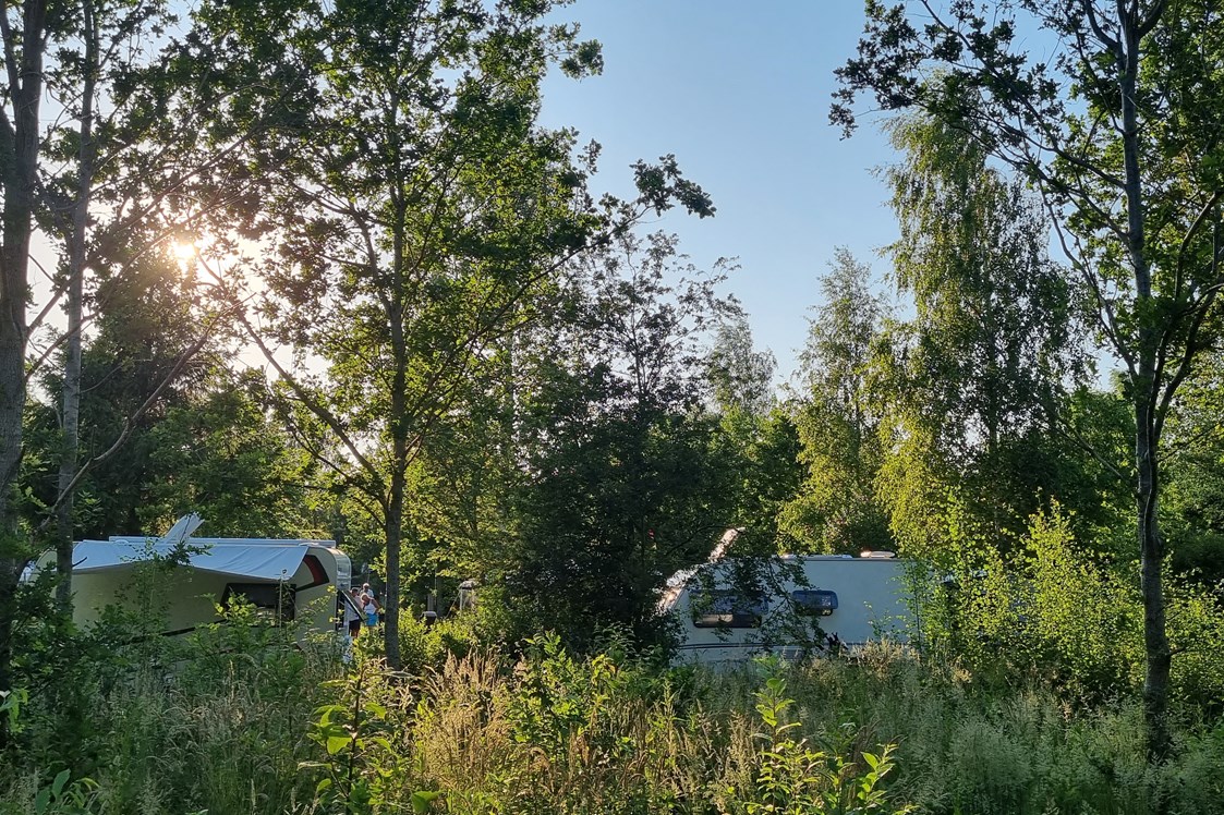 Wohnmobilstellplatz: Camping Landgoed het Geuzenbos
