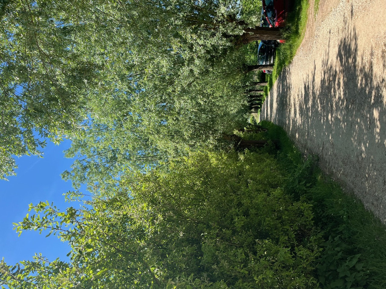 Wohnmobilstellplatz: Mini camping forellenvijver Breukink