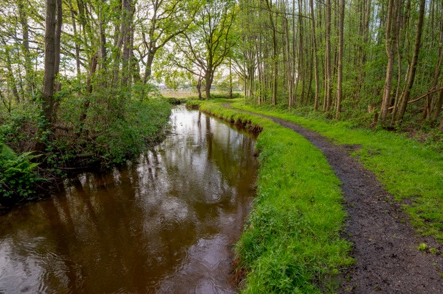 Reisemobilstellplatz - Limburg (België) - Camping 't Swinkeltje