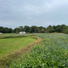 Wohnmobilstellplatz: Camping de Oude Trambrug