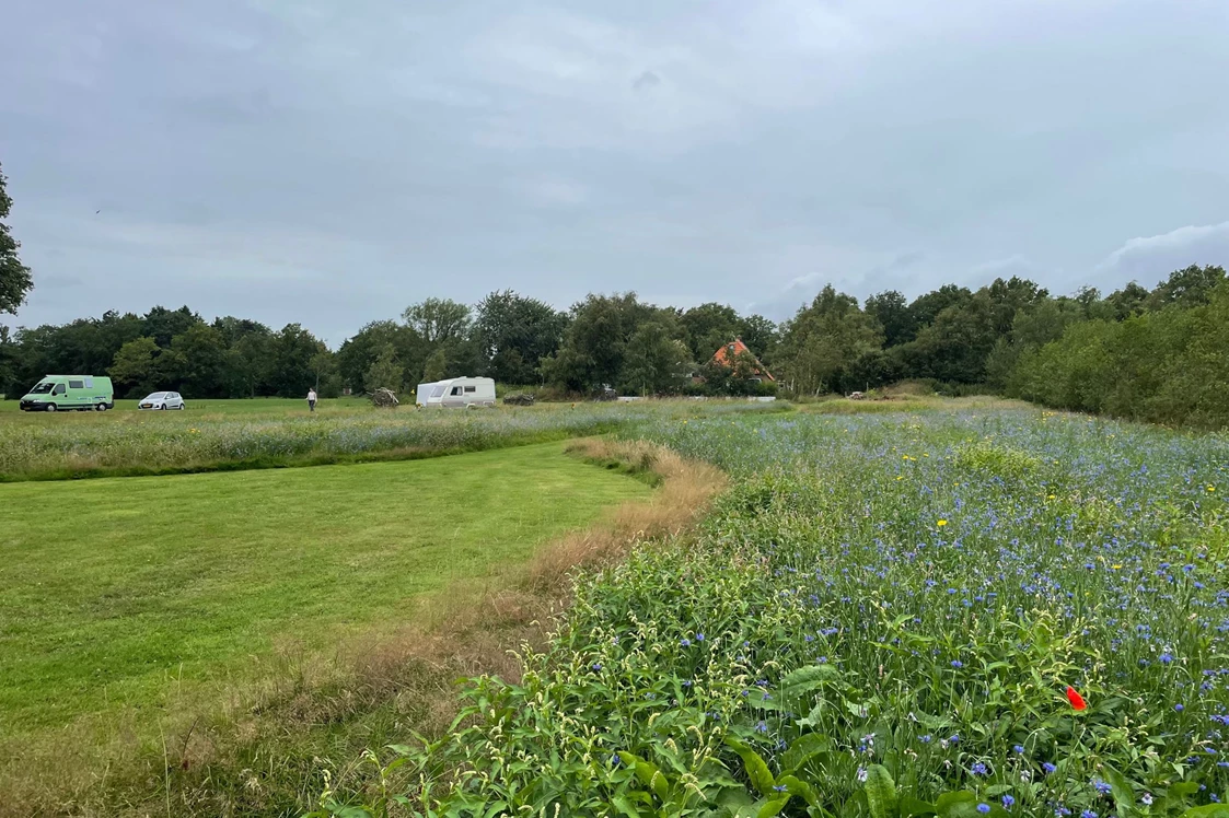 Wohnmobilstellplatz: Camping de Oude Trambrug