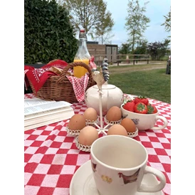 Wohnmobilstellplatz: Ontbijt bij een logeerwagen  - Minicamping de Heibloem