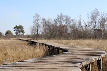 Wohnmobilstellplatz: Gasthuys de Peel