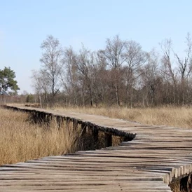 Wohnmobilstellplatz: Gasthuys de Peel