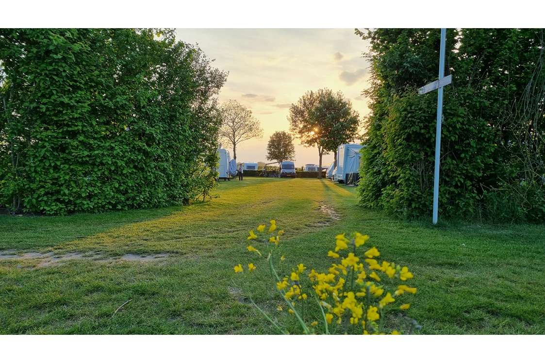 Wohnmobilstellplatz: Eingang Stellplatze  - 't Eyveld