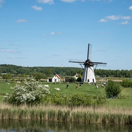 Wohnmobilstellplatz: Camping de Fruitboom