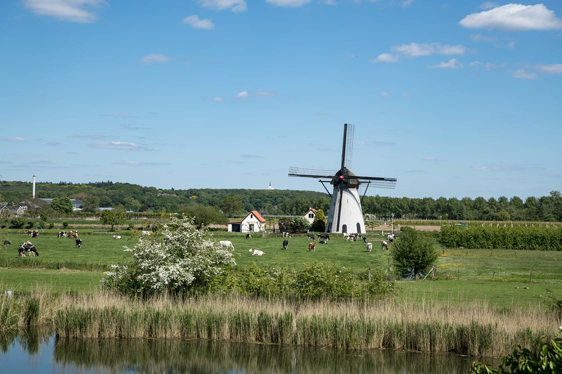 Wohnmobilstellplatz: Camping de Fruitboom