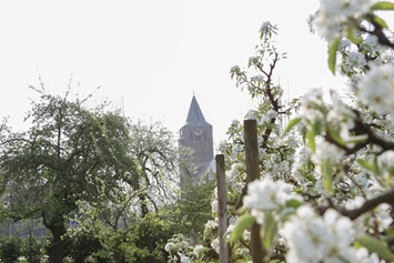 Wohnmobilstellplatz: Camping de Fruitboom