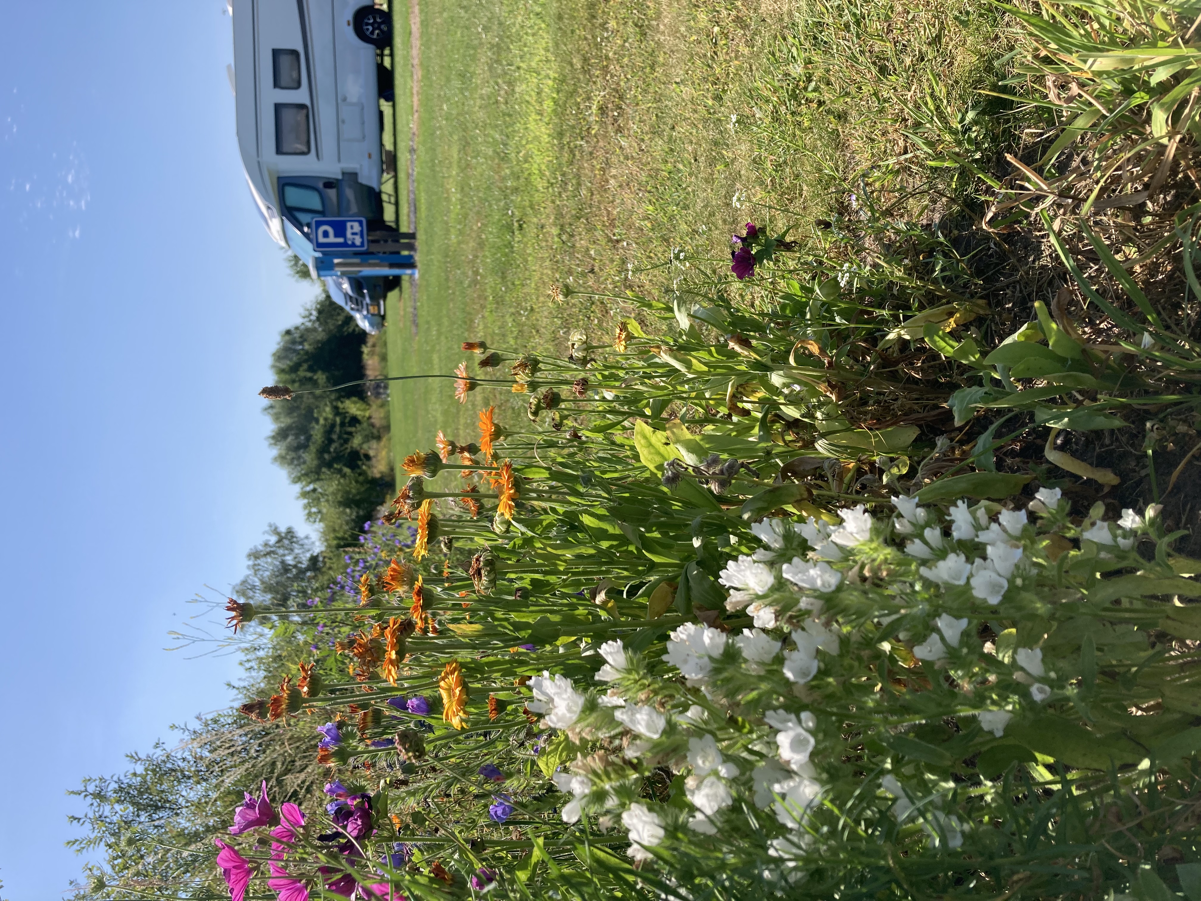 Area sosta per camper - Gheldria - Campingplatz De Boomgaard