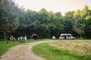 Wohnmobilstellplatz: Camping Noorderloo