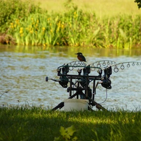 Wohnmobilstellplatz: Der Overijsselse Vecht hat eine große Vielfalt an Fischbeständen. Im Resort de Arendshorst können Sie fast alle niederländischen Süßwasserfischarten fangen. Gewöhnliche Fische an der Vecht sind Brassen, Winde, Rotaugen, Barsche und Karpfen. Die Overijsselse Vecht ist bei Weißfischern und Fliegenfischern beliebt, weil sie manchmal sehr gute Fänge haben und zum Beispiel die schönen Winde, die dort gefangen werden können (besonders im Frühling). - Resort de Arendshorst