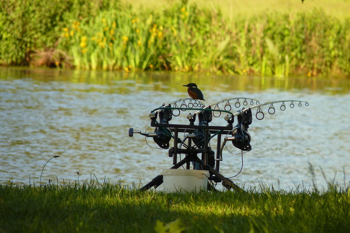 Wohnmobilstellplatz: Der Overijsselse Vecht hat eine große Vielfalt an Fischbeständen. Im Resort de Arendshorst können Sie fast alle niederländischen Süßwasserfischarten fangen. Gewöhnliche Fische an der Vecht sind Brassen, Winde, Rotaugen, Barsche und Karpfen. Die Overijsselse Vecht ist bei Weißfischern und Fliegenfischern beliebt, weil sie manchmal sehr gute Fänge haben und zum Beispiel die schönen Winde, die dort gefangen werden können (besonders im Frühling). - Resort de Arendshorst