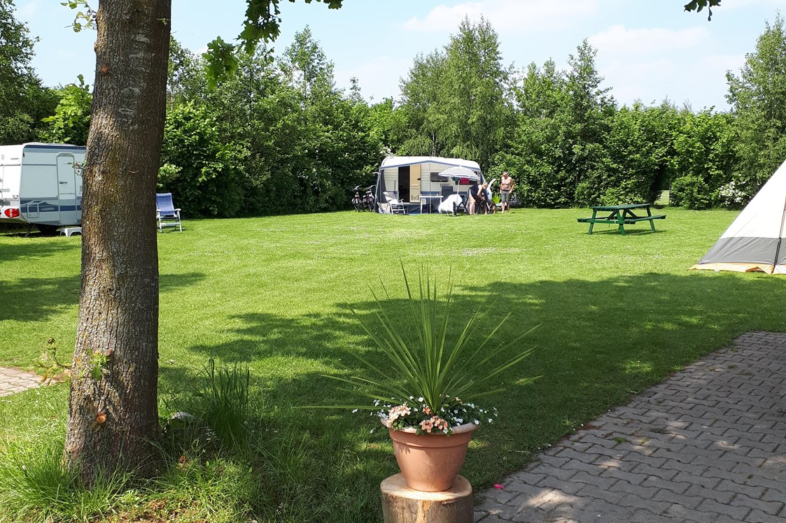 Wohnmobilstellplatz: Klein veldje met 4 kampeerplaatsen - Camping de Bosrand Spier