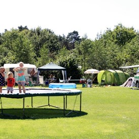 Wohnmobilstellplatz: trampolines - Camping de Bosrand Spier