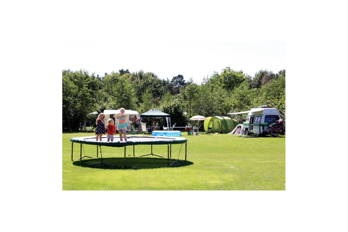 Wohnmobilstellplatz: trampolines - Camping de Bosrand Spier