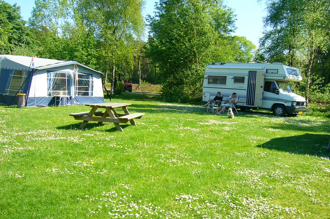 Wohnmobilstellplatz: campers ook welkom
 - Camping de Bosrand Spier