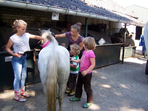 Wohnmobilstellplatz: pony's verzorgen - Camping de Bosrand Spier