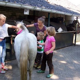 Wohnmobilstellplatz: pony's verzorgen - Camping de Bosrand Spier