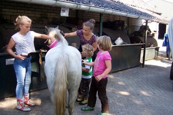 Wohnmobilstellplatz: pony's verzorgen - Camping de Bosrand Spier