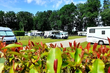 Wohnmobilstellplatz: Recreatiepark Het Eperwoud