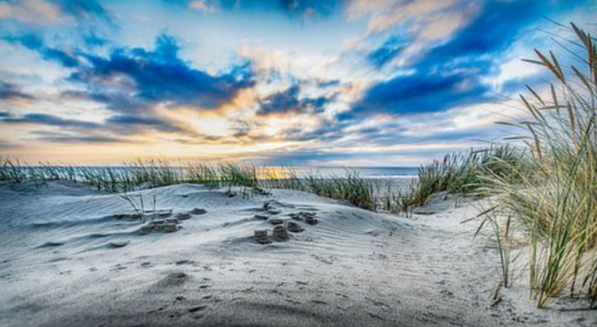 Wohnmobilstellplatz: minicamping Zeeuwse Landhoeve
