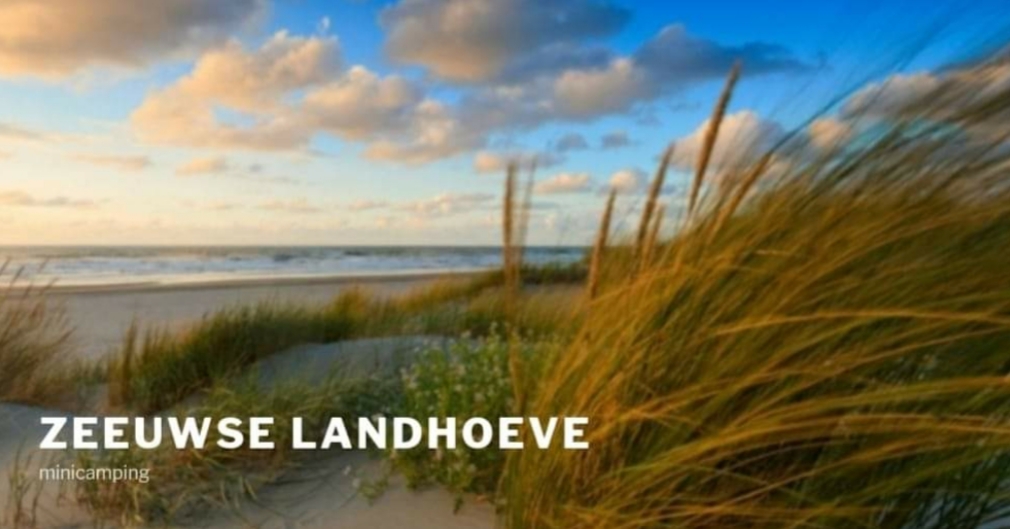 Wohnmobilstellplatz: minicamping Zeeuwse Landhoeve