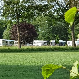Wohnmobilstellplatz: Campingplatz - Camping De Appelboom