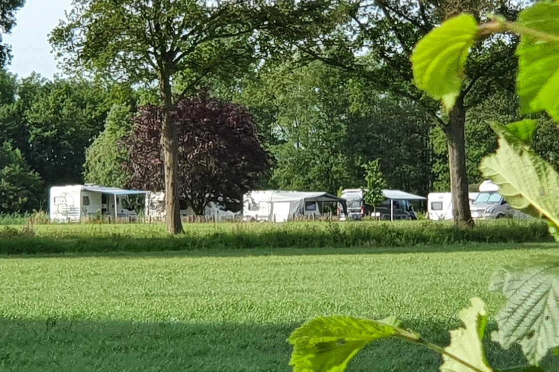 Wohnmobilstellplatz: Campingplatz - Camping De Appelboom
