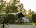 Wohnmobilstellplatz: Kruidenierpier - Camping De Toffe Peer