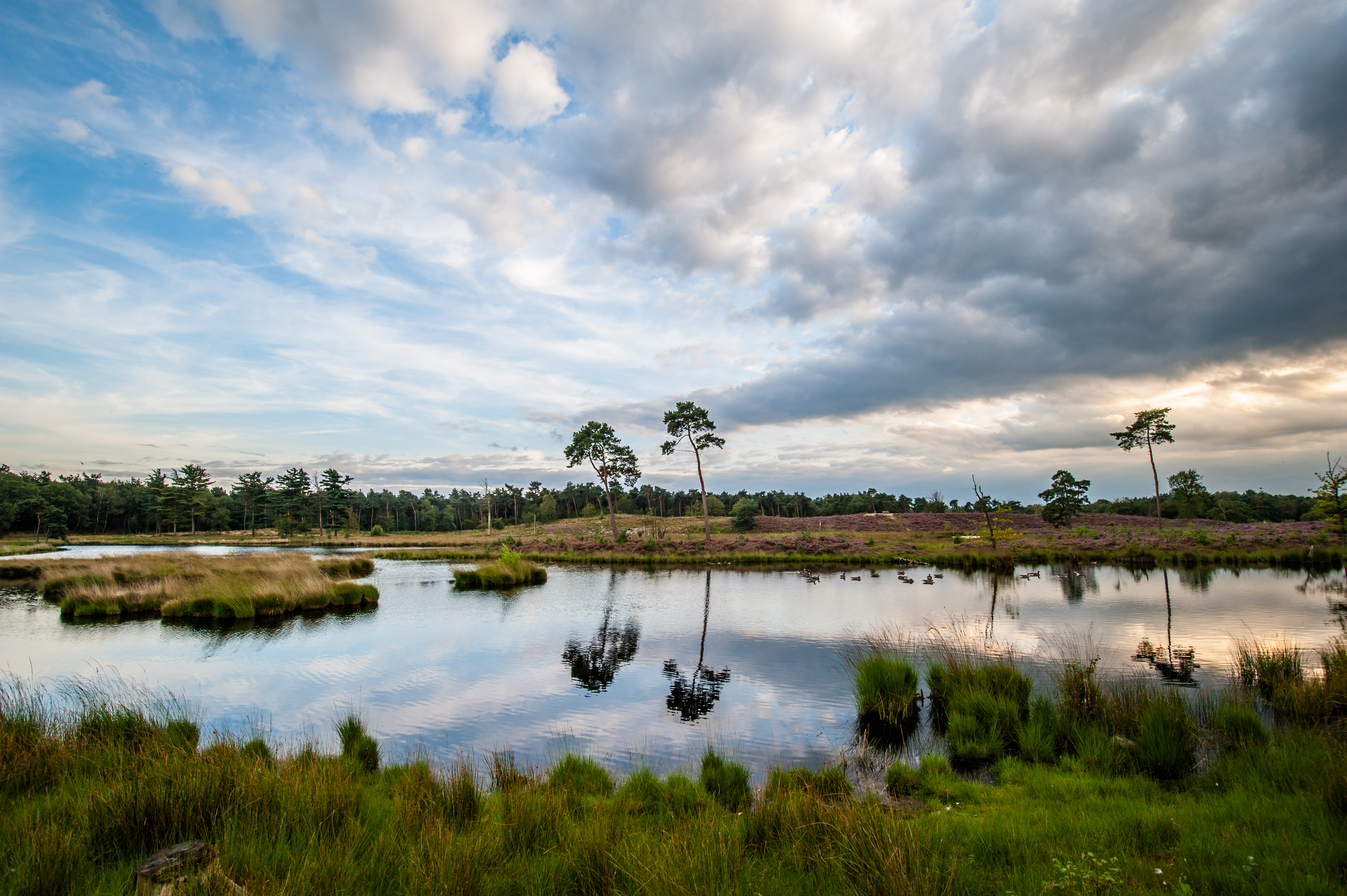 Reisemobilstellplatz - Varik - Camping Bij de 3 Linden