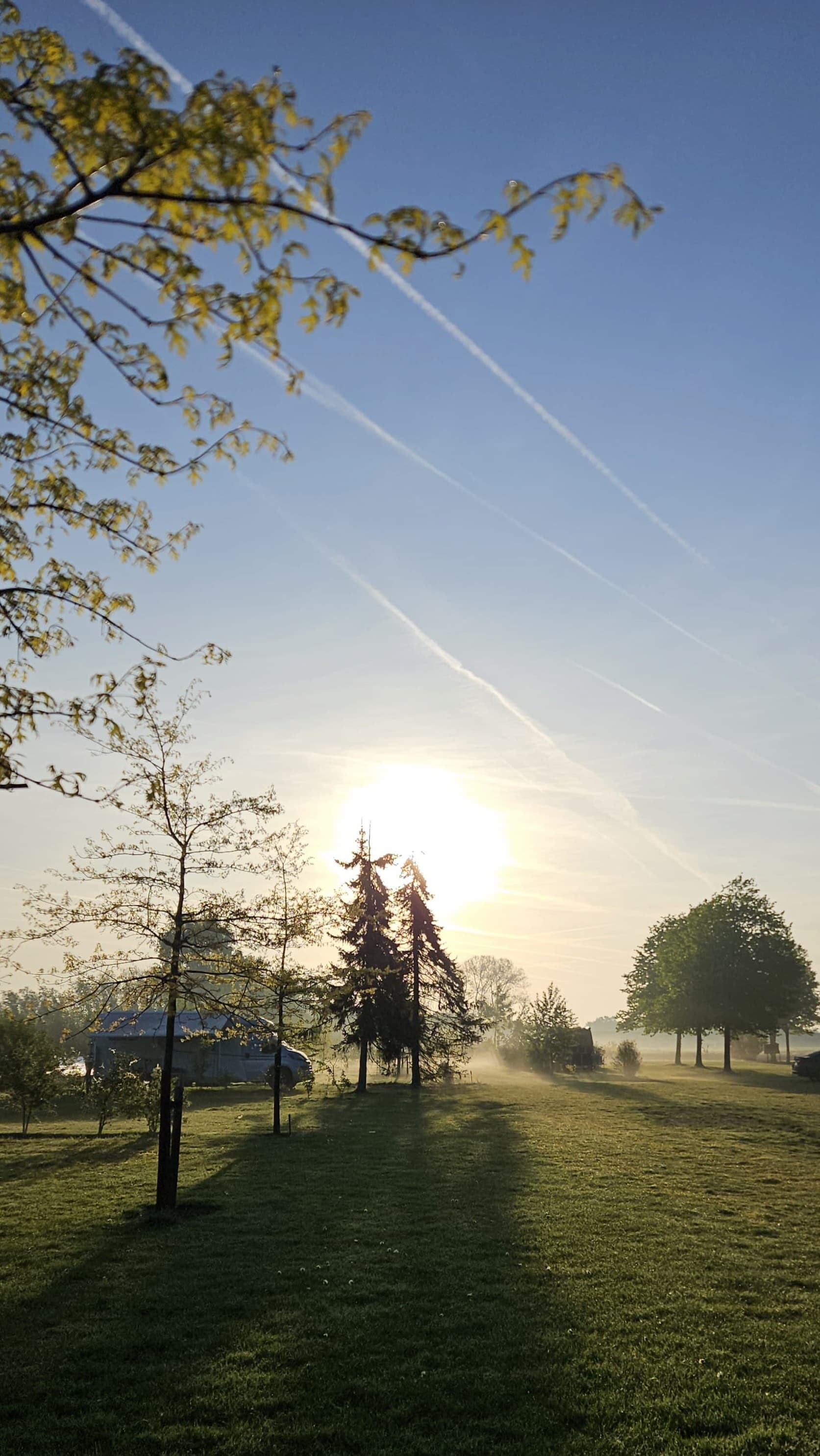 RV park - Tielt - Beatiful nature  - Boerderijcamping Spitsbroek