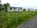 Wohnmobilstellplatz: Camping De Veenborg
