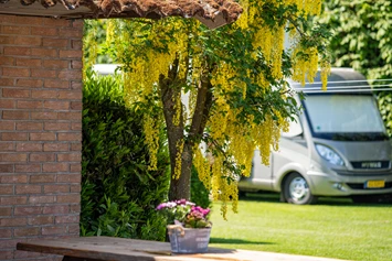 Wohnmobilstellplatz: camperplaats op boerencamping - Boerderijcamping Het Varsenerveld