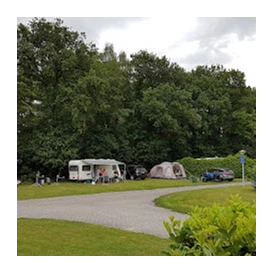 Wohnmobilstellplatz: Zeer ruime kampeerplaatsen - Camping De Groene Valk