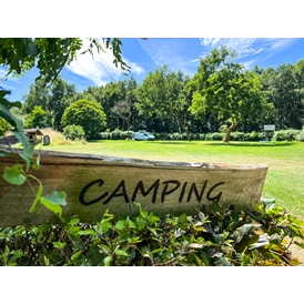 Wohnmobilstellplatz: Camping Hoeve de Knol