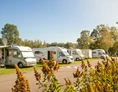 Wohnmobilstellplatz: Båstad Camping