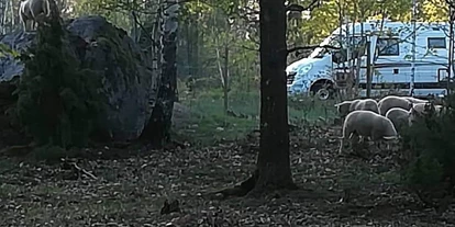 Posto auto camper - Fliseryd - Rugstorps Lantgård