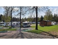 Wohnmobilstellplatz: Billingens stugby & camping