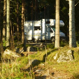 Wohnmobilstellplatz: Stellplatz im Wald  - Glaskogens Camping