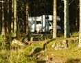 Wohnmobilstellplatz: Stellplatz im Wald  - Glaskogens Camping
